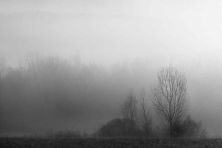 the mist.jpg
